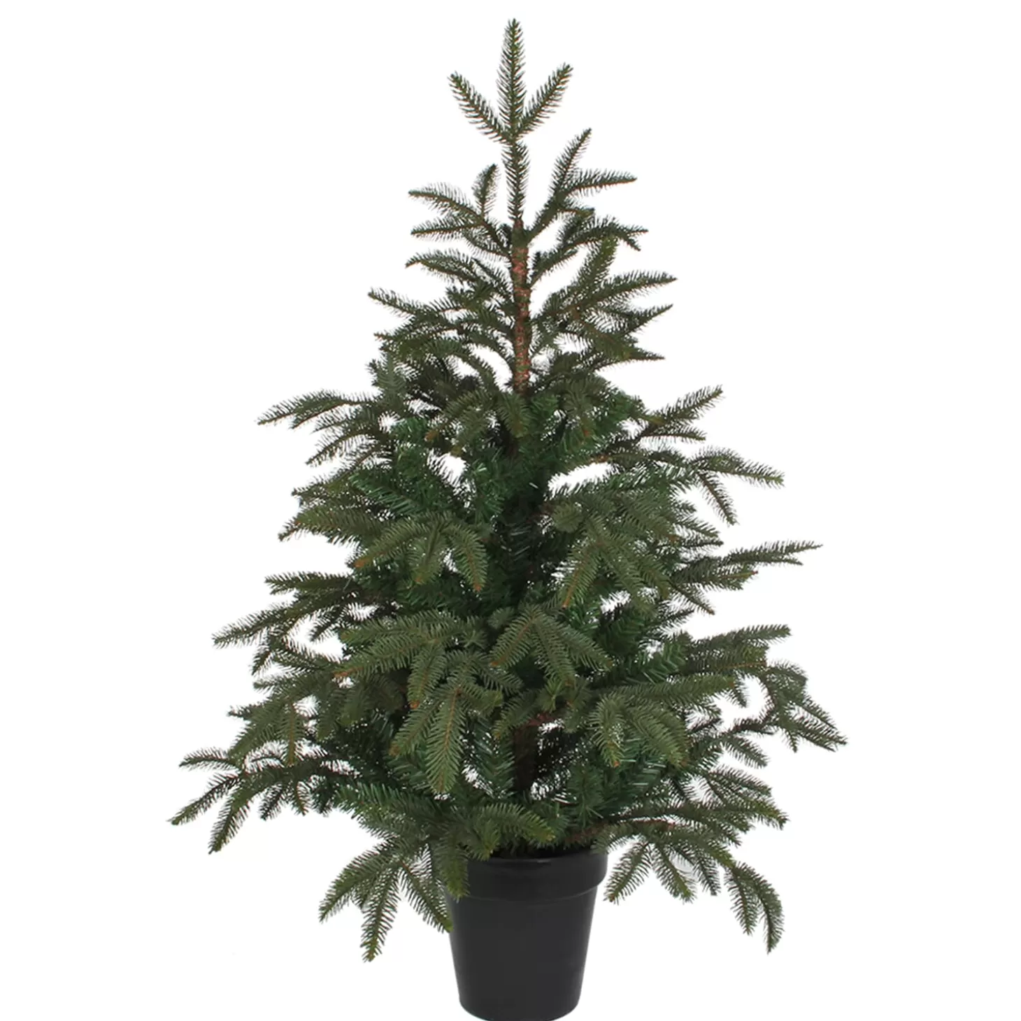 Käthe Wohlfahrt Baum Frasier Fir Grun, 100 Cm